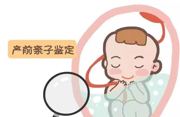 杭州怀孕几个月怎么确认孩子生父是谁,